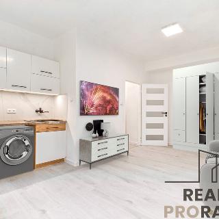 Prodej bytu 1+kk a garsoniéry 22 m² Karviná, U Lesa