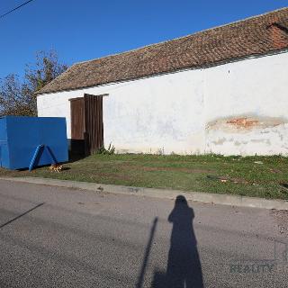 Prodej zemědělské usedlosti 130 m² Hostěradice, 