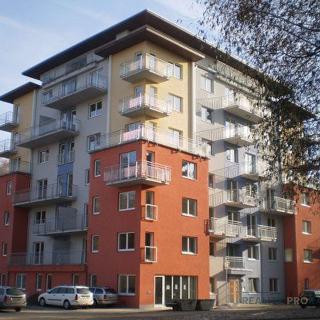 Pronájem bytu 1+kk a garsoniéry 17 m² Jihlava, U Dlouhé stěny