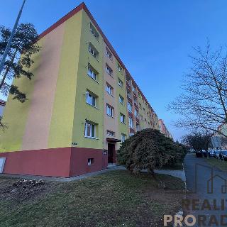 Pronájem bytu 2+1 56 m² Most, Zdeňka Fibicha