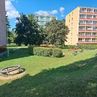 Prodej bytu 3+1 84 m² Tišnov, U Humpolky