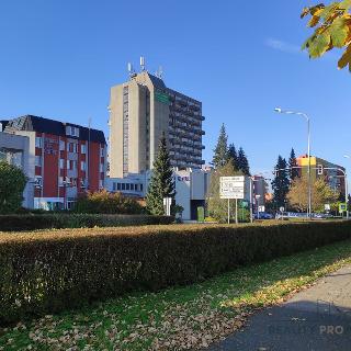 Pronájem bytu 1+kk a garsoniéry 20 m² Kopřivnice, Záhumenní