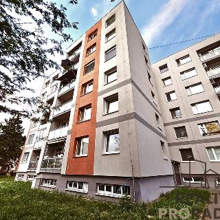 Prodej bytu 3+1 65 m² Hodonín, Lesní