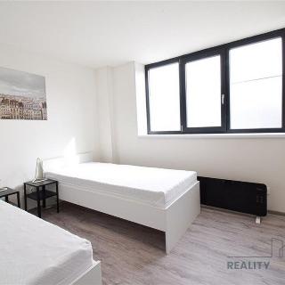 Pronájem bytu 2+1 33 m² Brno, Václavská