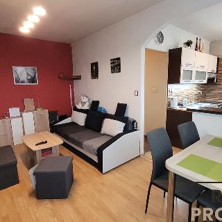 Prodej bytu 2+kk 55 m² Hlubočany, 