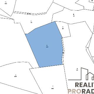 Prodej louky 18 692 m² Jílové u Prahy