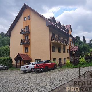 Prodej podílu bytu 3+kk 64 m² Lipová-lázně