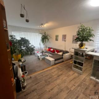 Pronájem rodinného domu 130 m² Dolní Domaslavice