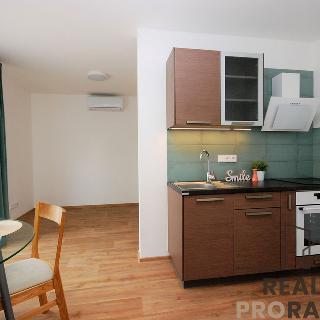 Pronájem bytu 1+kk a garsoniéry 33 m² Velké Pavlovice, Hlavní