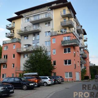 Pronájem bytu 1+kk a garsoniéry 31 m² Jihlava, U Dlouhé stěny