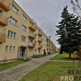 Pronájem bytu 3+1 68 m² Zlín, Mlýnská