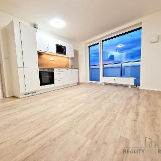 Pronájem bytu 2+kk 53 m² Brno, Provazníkova