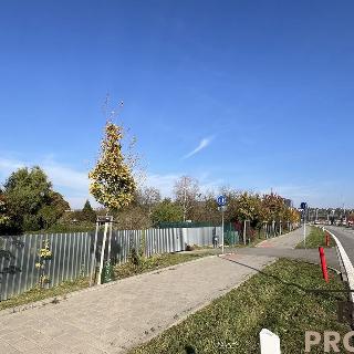 Prodej ostatního pozemku 4 726 m² Brno, Žabovřeská