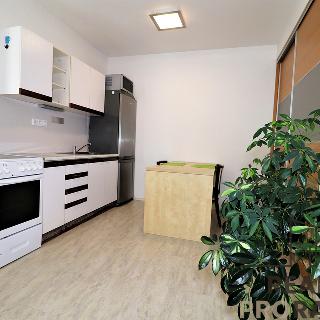 Pronájem bytu 1+kk a garsoniéry 25 m² Brno, Hradiska