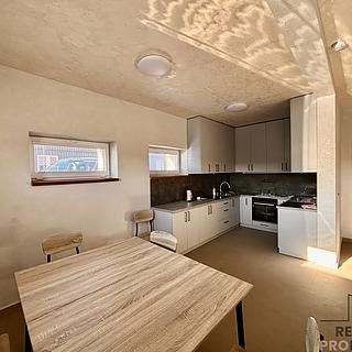 Pronájem hotelu, penzionu 303 m&sup2; Olšany u Prostějova