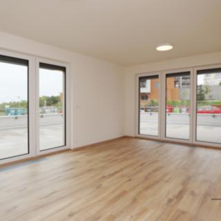 Pronájem bytu 3+kk 220 m² Praha