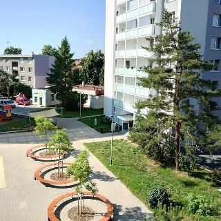 Prodej bytu 2+1 49 m² Břeclav, 