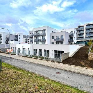 Pronájem bytu 1+kk a garsoniéry 40 m² Brno, Kumpoštova