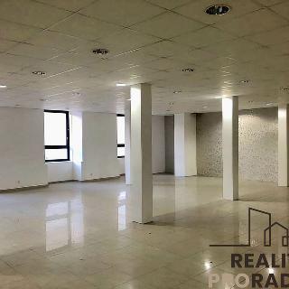 Pronájem obchodu 750 m² Brno, Václavská