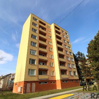 Pronájem bytu 3+1 61 m² Luhačovice, Družstevní