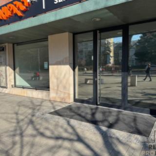 Pronájem obchodu 3 600 m² Brno, Vídeňská