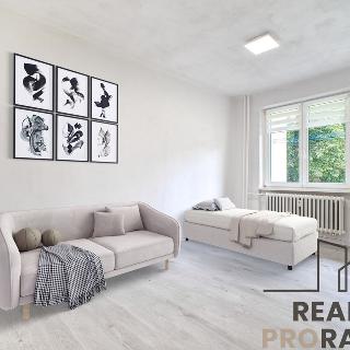 Prodej bytu 1+kk a garsoniéry 22 m² Karviná, U Lesa