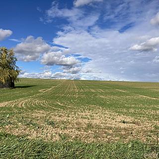Prodej stavební parcely 800 m&sup2; Plenkovice