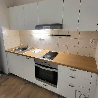 Pronájem bytu 1+kk a garsoniéry 45 m² Brno, Stará