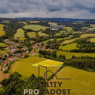 Prodej louky 7 954 m² Horní Poříčí, 