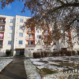 Prodej bytu 1+1 40 m² Hradec Králové, Sekaninova