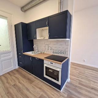 Pronájem bytu 1+kk a garsoniéry 38 m² Brno, Antonínská