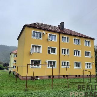 Prodej bytu 2+1 60 m² Jakubčovice nad Odrou, Dobešovská