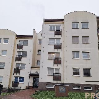 Pronájem bytu 1+kk a garsoniéry 30 m² Chlumec, Stradovská