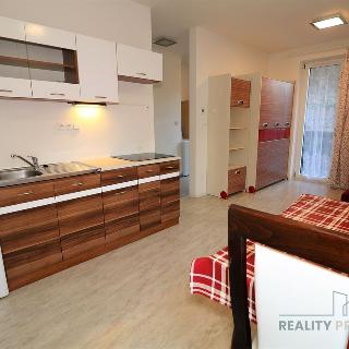 Pronájem bytu 1+kk a garsoniéry 25 m² Brno, Hradiska