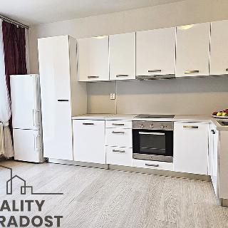 Pronájem bytu 3+kk 64 m² Brno, Bayerova