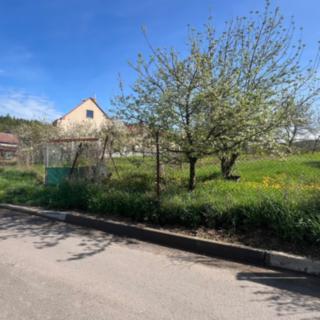Prodej zahrady 287 m² Svinošice, 