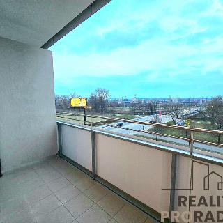 Pronájem bytu 1+kk a garsoniéry 34 m² Brno, Jižní