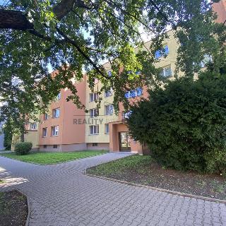 Pronájem bytu 3+1 82 m² Bohumín