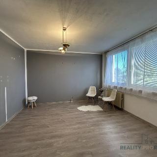 Pronájem bytu 2+1 46 m² Hodonín, Jižní