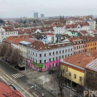 Prodej bytu 2+1 51 m² Brno, Palackého třída