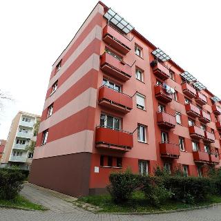 Prodej bytu 2+1 53 m² Břeclav, Fintajslova