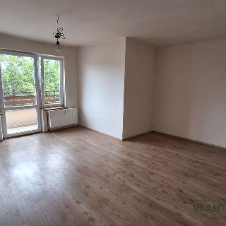 Pronájem bytu 2+1 75 m² Ústí nad Labem, Elišky Krásnohorské