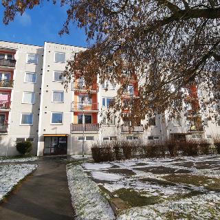 Prodej bytu 1+1 40 m² Hradec Králové, Sekaninova