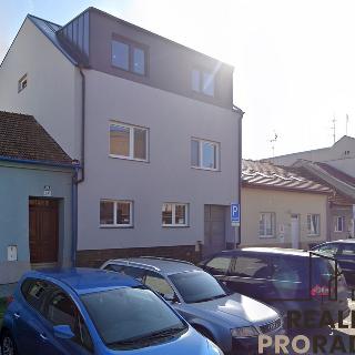 Pronájem pokoje 20 m² Brno, Rostislavovo náměstí