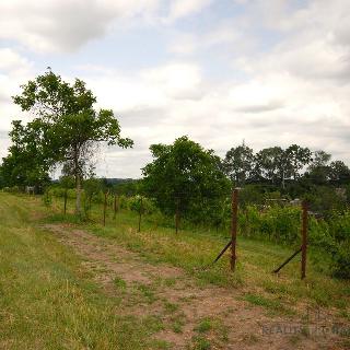 Prodej stavební parcely 1 960 m² Břeclav, 