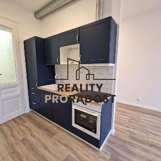 Pronájem bytu 1+kk a garsoniéry 38 m² Brno, Antonínská