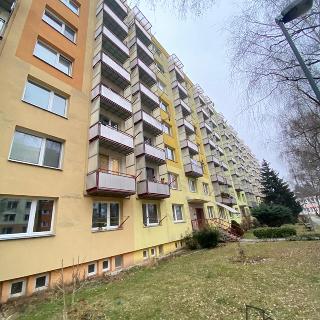 Pronájem bytu 1+1 35 m² Olomouc, Jílová