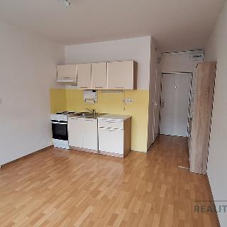 Pronájem bytu 1+1 33 m² Ústí nad Labem, Šípková