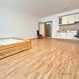 Pronájem bytu 1+kk a garsoniéry 36 m² Brno, V Újezdech