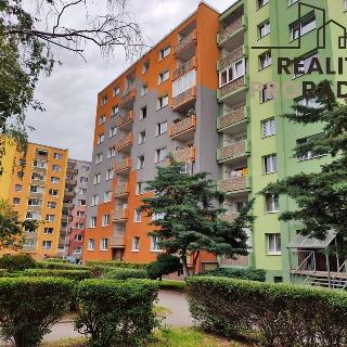 Prodej bytu 1+1 39 m² Jirkov, Alešova